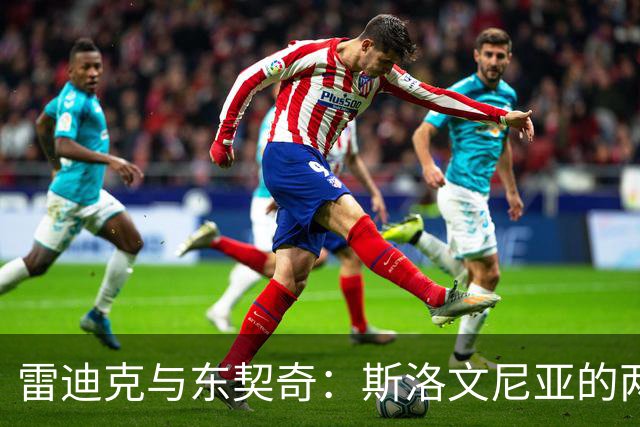 雷迪克与东契奇：斯洛文尼亚的两天高尔夫聚会